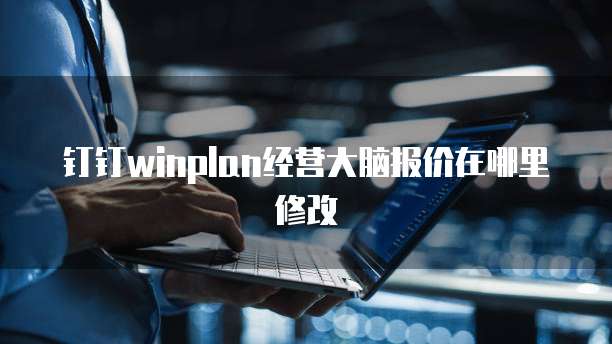 钉钉winplan经营大脑报价在哪里修改