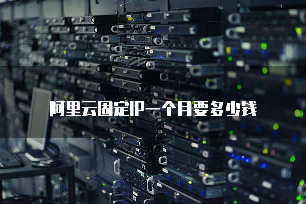 阿里云固定IP一个月要多少钱