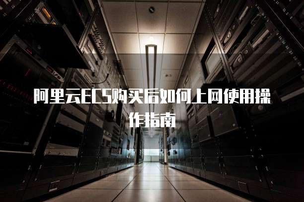 阿里云ECS购买后如何上网使用操作指南