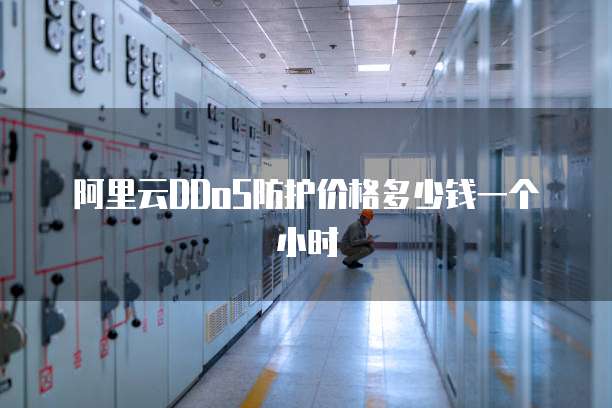 阿里云DDoS防护价格多少钱一个小时