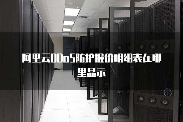 阿里云DDoS防护报价明细表在哪里显示