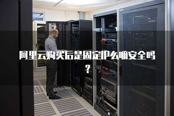 阿里云购买后是固定IP么嘛安全吗?