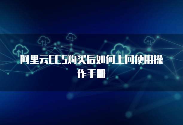 阿里云ECS购买后如何上网使用操作手册