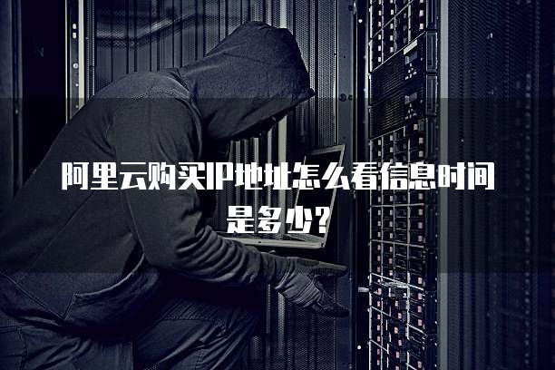 阿里云购买IP地址怎么看信息时间是多少?