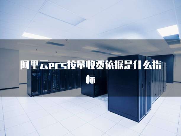 阿里云ecs按量收费依据是什么指标