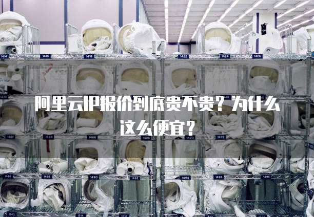 阿里云IP报价到底贵不贵?为什么这么便宜?