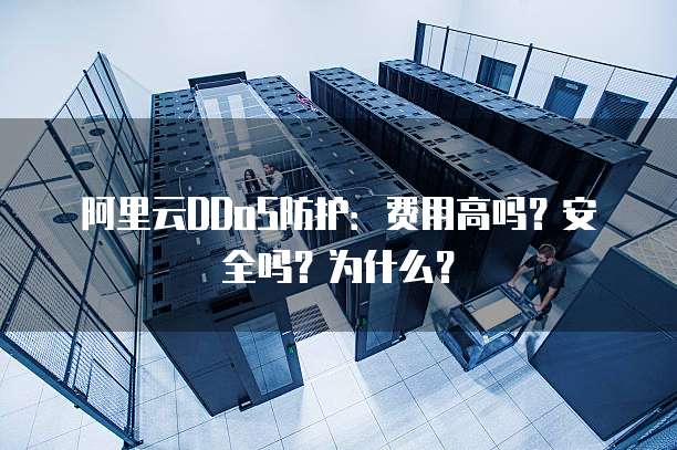 阿里云DDoS防护:费用高吗?安全吗?为什么?