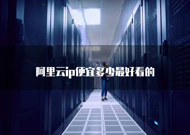 阿里云ip便宜多少最好看的