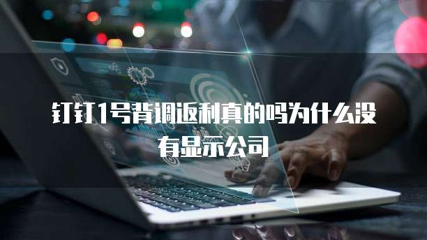 钉钉1号背调返利真的吗为什么没有显示公司