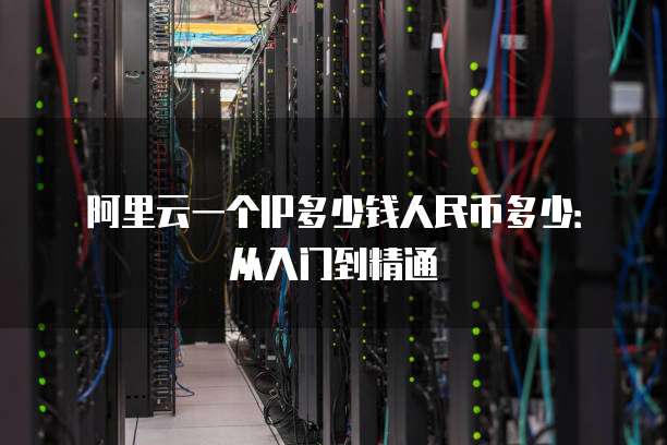阿里云一个IP多少钱人民币多少:从入门到精通