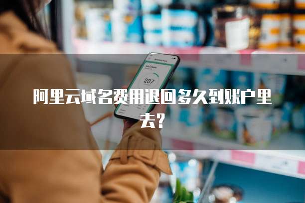 阿里云域名费用退回多久到账户里去?