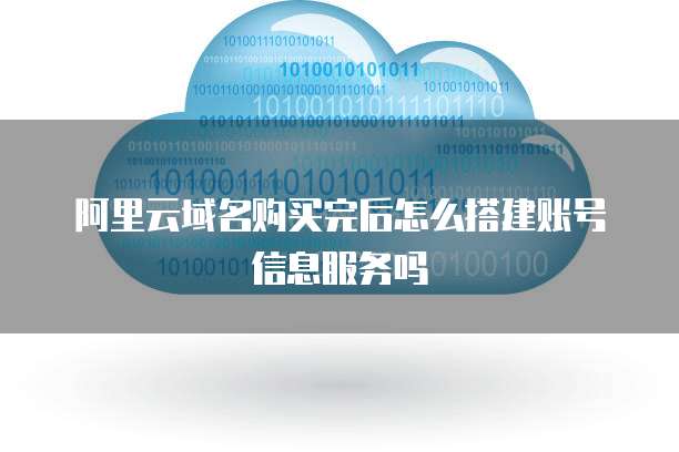 阿里云域名购买完后怎么搭建账号信息服务吗