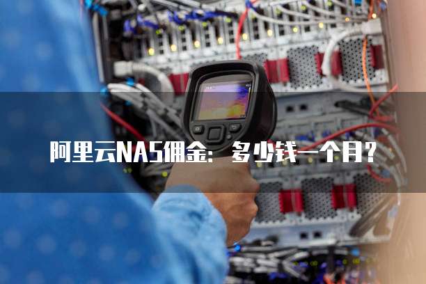 阿里云NAS佣金:多少钱一个月?