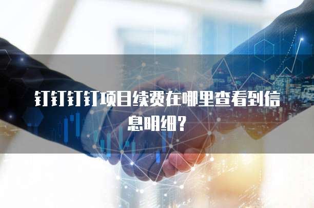 钉钉钉钉项目续费在哪里查看到信息明细?