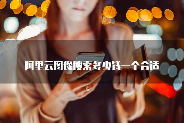 阿里云图像搜索多少钱一个合适