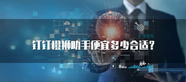 钉钉橙狮助手便宜多少合适?