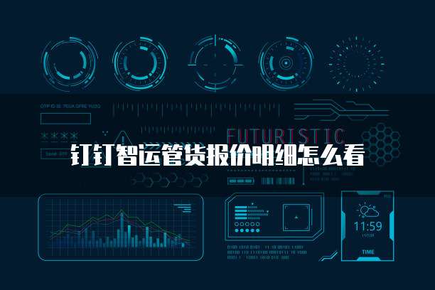 钉钉智运管货报价明细怎么看
