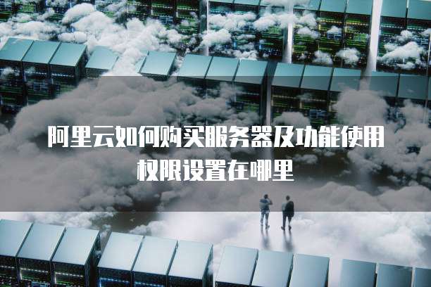 阿里云如何购买服务器及功能使用权限设置在哪里