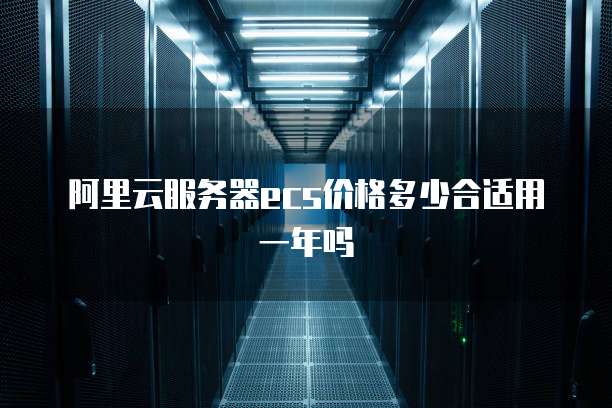 阿里云服务器ecs价格多少合适用一年吗