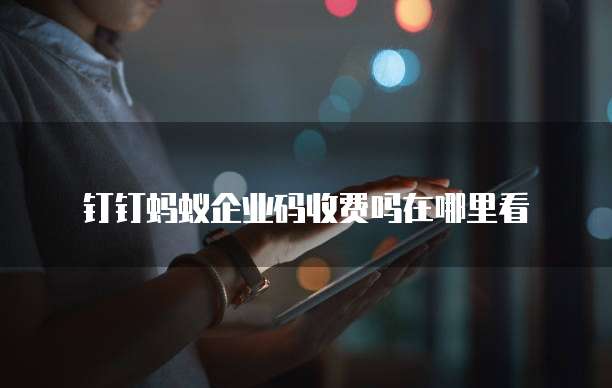 钉钉蚂蚁企业码收费吗在哪里看
