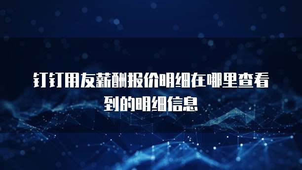 钉钉用友薪酬报价明细在哪里查看到的明细信息