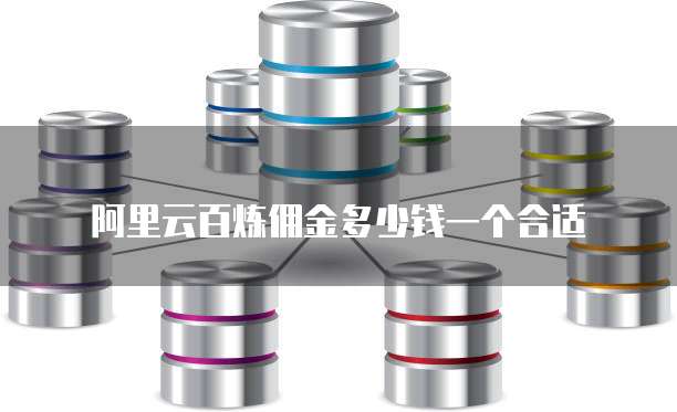 阿里云百炼佣金多少钱一个合适