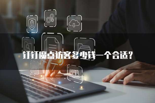 钉钉魔点访客多少钱一个合适？