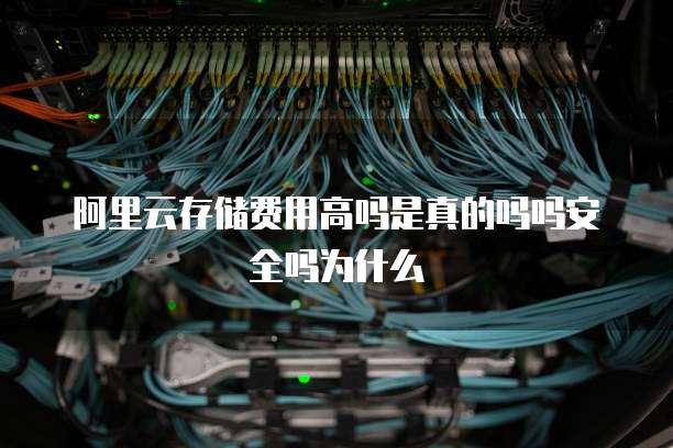 阿里云存储费用高吗是真的吗吗安全吗为什么