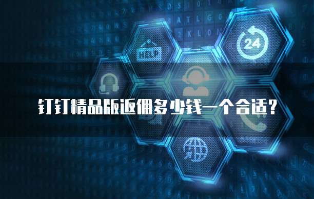 钉钉精品版返佣多少钱一个合适？