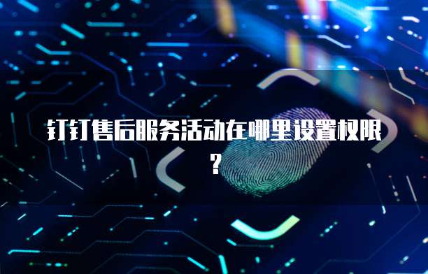 钉钉售后服务活动在哪里设置权限?
