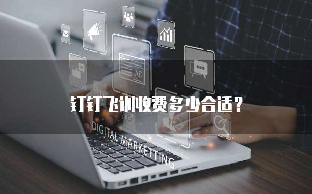 钉钉飞训收费多少合适？