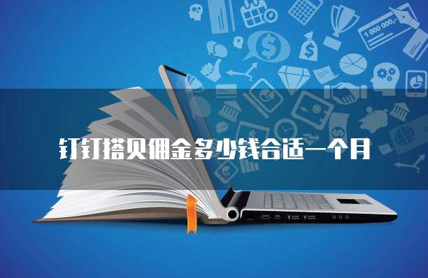 钉钉搭贝佣金多少钱合适一个月