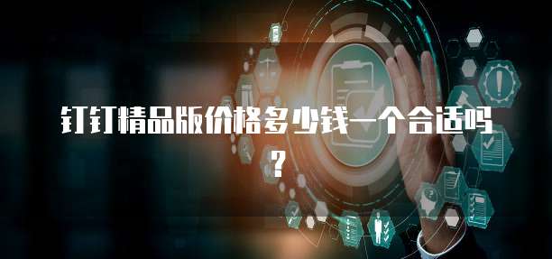 钉钉精品版价格多少钱一个合适吗？