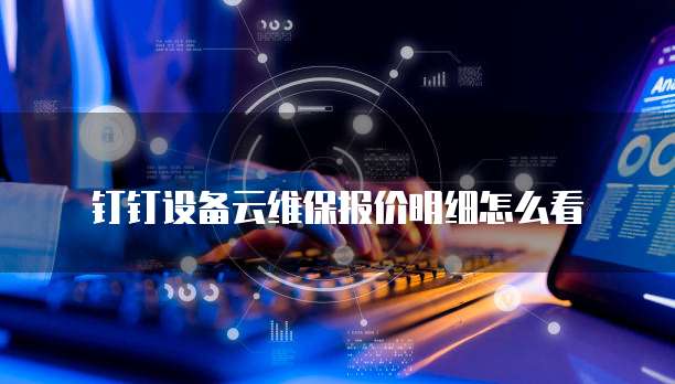 钉钉设备云维保报价明细怎么看
