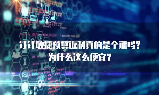 钉钉敏捷预算返利真的是个谜吗?为什么这么便宜?