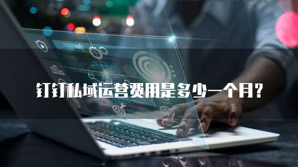 钉钉私域运营费用是多少一个月?