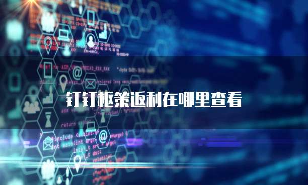 钉钉枢策返利在哪里查看