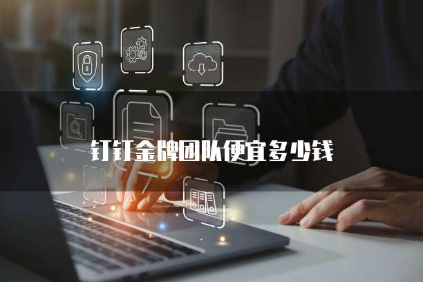 钉钉金牌团队便宜多少钱