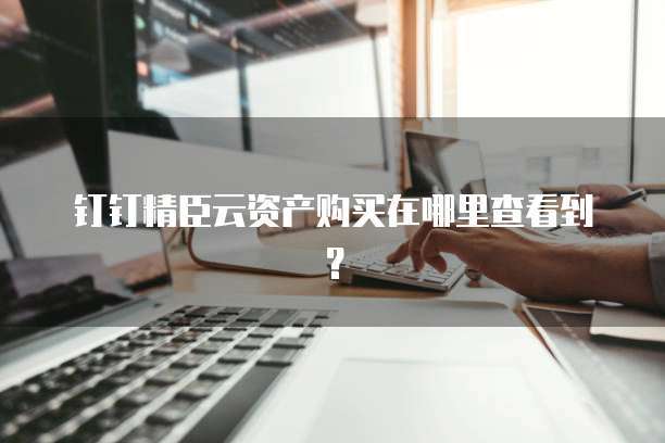 钉钉精臣云资产购买在哪里查看到?