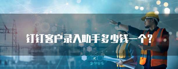 钉钉客户录入助手多少钱一个?