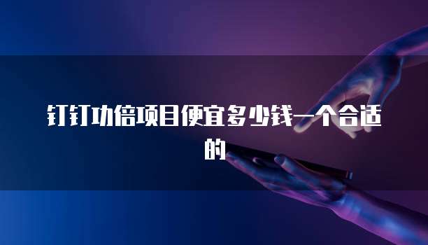 钉钉功倍项目便宜多少钱一个合适的