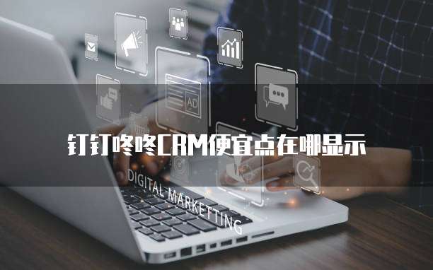 钉钉咚咚CRM便宜点在哪显示