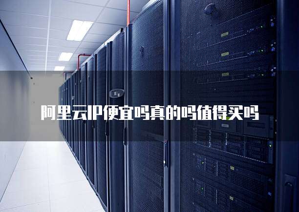 阿里云IP便宜吗真的吗值得买吗