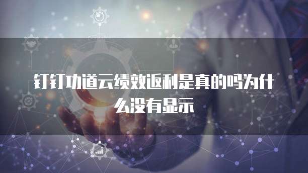 钉钉功道云绩效返利是真的吗为什么没有显示