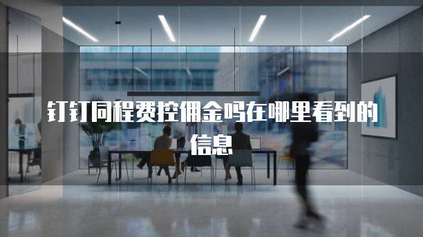 钉钉同程费控佣金吗在哪里看到的信息