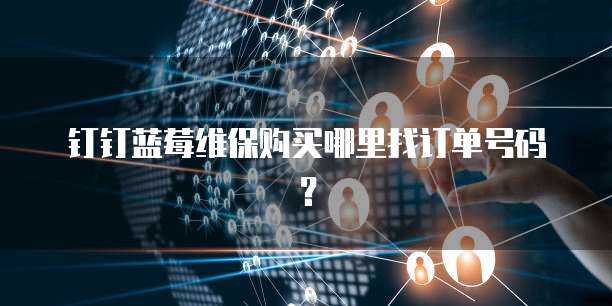 钉钉蓝莓维保购买哪里找订单号码？