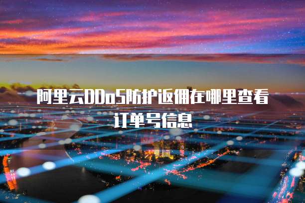 阿里云DDoS防护返佣在哪里查看订单号信息