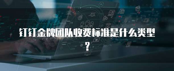 钉钉金牌团队收费标准是什么类型?