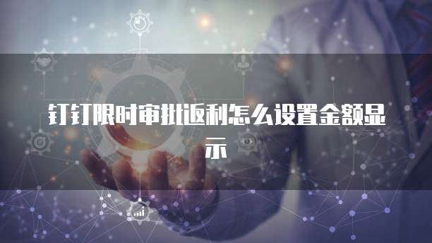 钉钉限时审批返利怎么设置金额显示