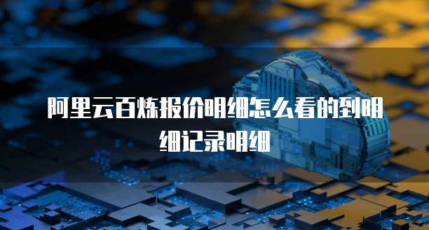 阿里云百炼报价明细怎么看的到明细记录明细